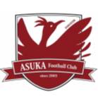 飞鸟FC